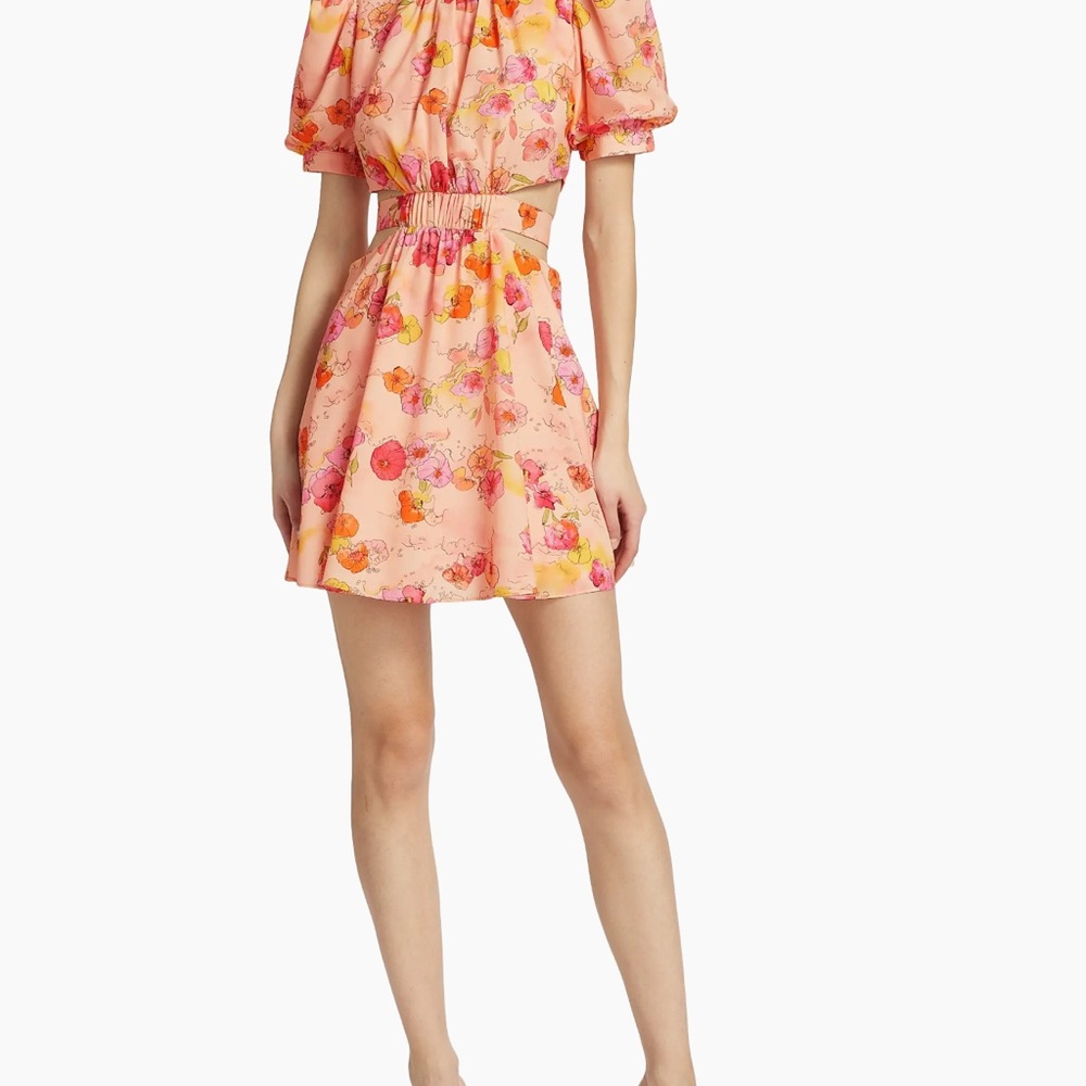 Amur Cut Out Dress